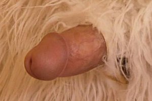 Xvideos xnxx Porn